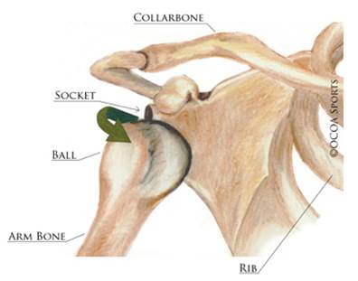 Shoulder Dislocations 5