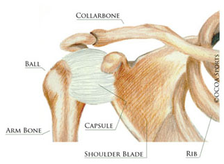 shoulder 15 diagram