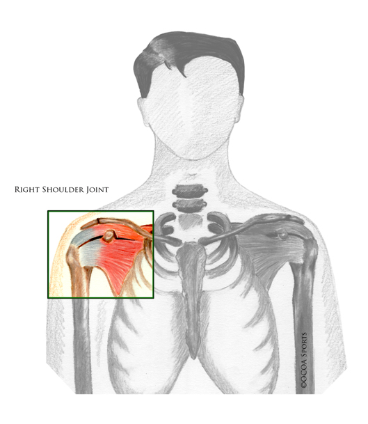 Shoulder Stabilization Surgery | Shoulder Dislocations & Instability |  Orlin Cohen