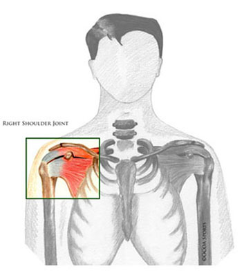 shoulder 1 diagram