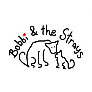 bobbi and the strays